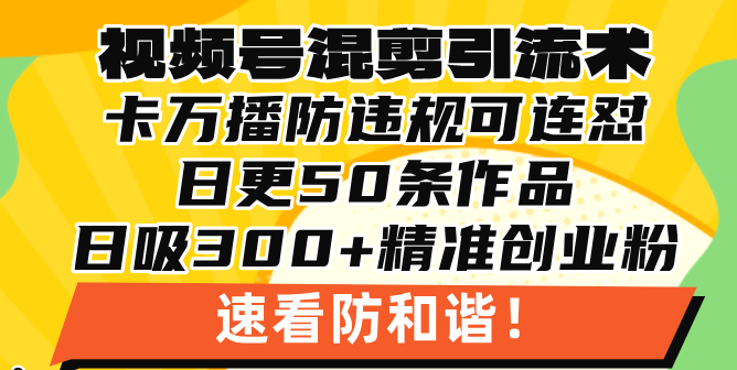视频号混剪引流技术,500万播放引流17000创业粉,操作简单当天学会-青禾学社