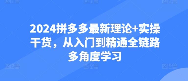2024拼多多最新理论+实操干货,从入门到精通全链路多角度学习-青禾学社