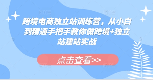 跨境电商独立站训练营,从小白到精通手把手教你做跨境+独立站建站实战-青禾学社
