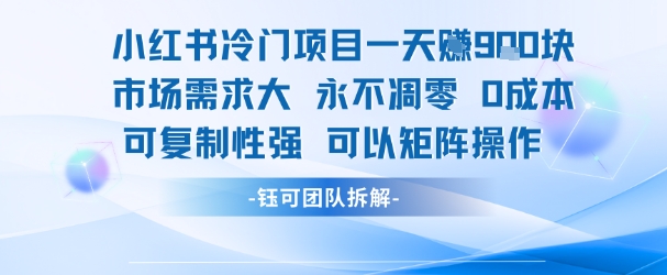 小红书冷门项目一天收益9张,市场需求大,0成本,可复制性强可以矩阵操作-青禾学社