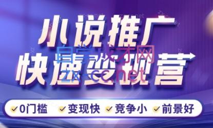洲洲老师·小说推广快速变现营-青禾学社