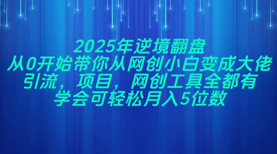 2025年逆境翻盘,从0开始带你从网创小白变成大佬,引流,项目,网创工...-青禾学社