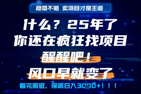 什么？25年你还在疯狂找项目做，醒醒吧，看完这些你全都懂了！【揭秘】-青禾学社