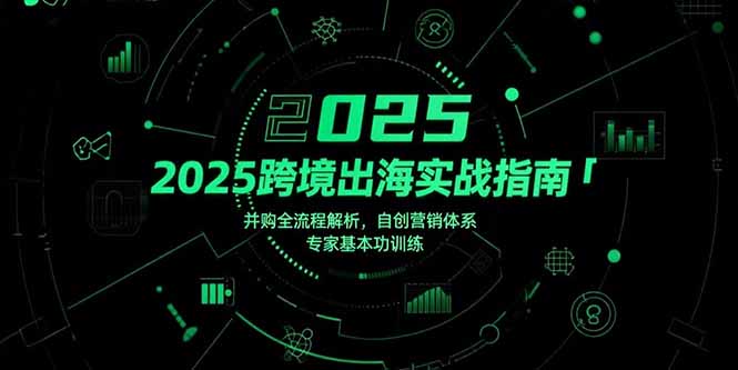 2025跨境出海实战指南,并购全流程解析,自创营销体系,专家基本功训练-青禾学社