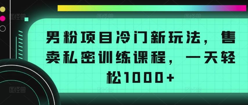 男粉项目冷门新玩法,售卖私密训练课程,一天轻松1000+【揭秘】-青禾学社