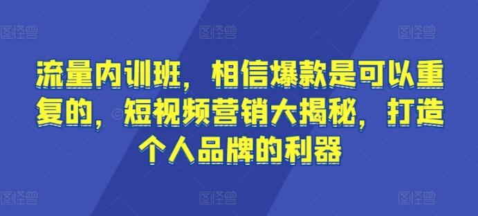 流量内训班,相信爆款是可以重复的,短视频营销大揭秘,打造个人品牌的利器-青禾学社