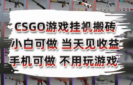 CSGO游戏挂G搬砖,小白纯手机即可操作,不用电脑打游戏,日入3张+,副业网创项目【揭秘】-青禾学社