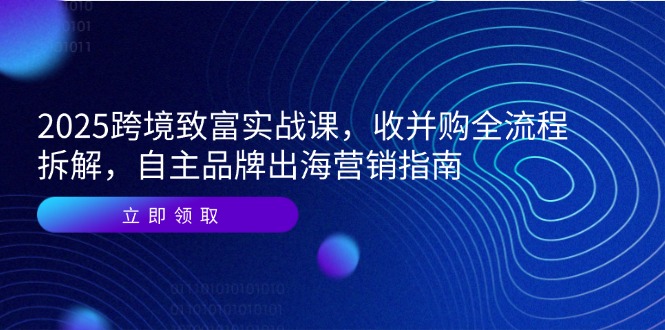 2025跨境致富实战课,收并购全流程拆解,自主品牌出海营销指南-青禾学社