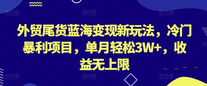 外贸尾货蓝海变现新玩法，冷门暴利项目，单月轻松3W+，收益无上限【揭秘】-青禾学社