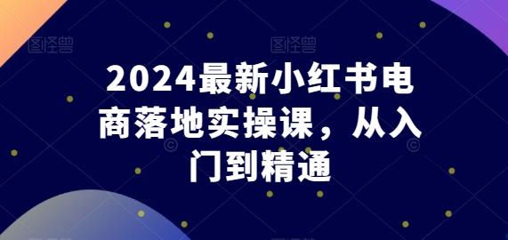 2024最新小红书电商落地实操课,从入门到精通-青禾学社
