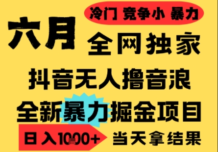 25年6月高爆抖音无人直播最新撸音浪掘金项目,小白可做,无脑日入1k+,门槛低可批量矩阵【揭秘】-青禾学社