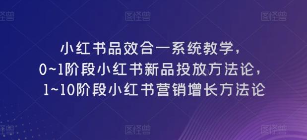 小红书品效合一系统教学,0~1阶段小红书新品投放方法论,1~10阶段小红书营销增长方法论-青禾学社
