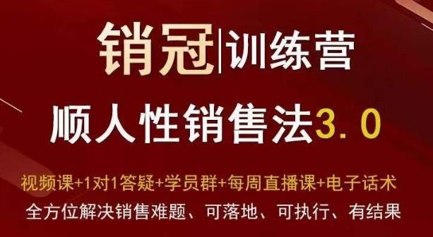 爆款!销冠训练营3.0之顺人性销售法,全方位解决销售难题、可落地、可执行、有结果-青禾学社