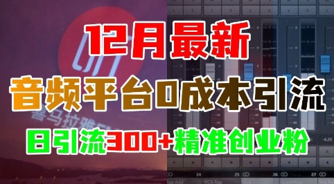 12月最新:音频平台0成本引流,日引流300+精准创业粉-青禾学社