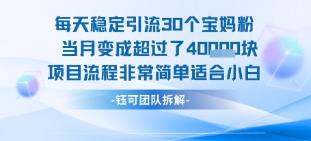 每天稳定引流30个人 当月变成超过了4个W项目流程非常简单适合小白-青禾学社