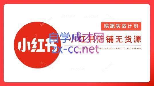 安琪·小红书店铺无货源-青禾学社