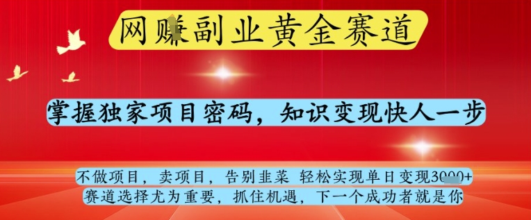网创副业黄全赛道,掌握独家项目密码,知识变现快人一步,告别韭菜轻松实现单日变现1k+【揭秘】-青禾学社