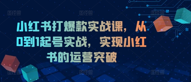 小红书打爆款实战课,从0到1起号实战,实现小红书的运营突破-青禾学社