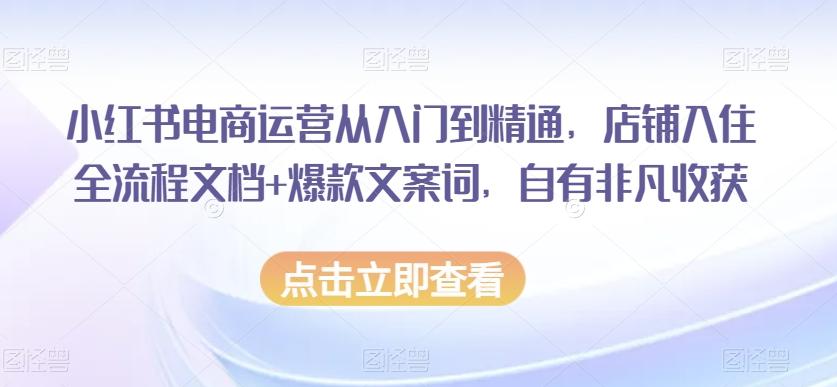 小红书电商运营从入门到精通，店铺入住全流程文档+爆款文案词，自有非凡收获-青禾学社