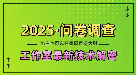 2025问卷调查最新工作室技术解密：一个人在家也可以闷声发大财，小白一天2张，可矩阵放大【揭秘】-青禾学社