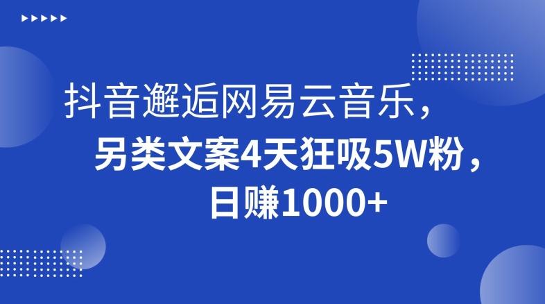 抖音邂逅网易云音乐,另类文案4天狂吸5W粉,日赚1000+【揭秘】-青禾学社