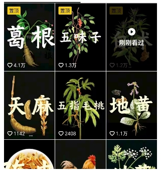 抖音中草药赛道,用AI做中草药故事视频,45条作品涨粉13W,橱窗带货猛猛出单-青禾学社