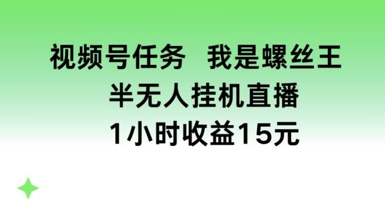 视频号任务，我是螺丝王， 半无人挂机1小时收益15元【揭秘】-青禾学社