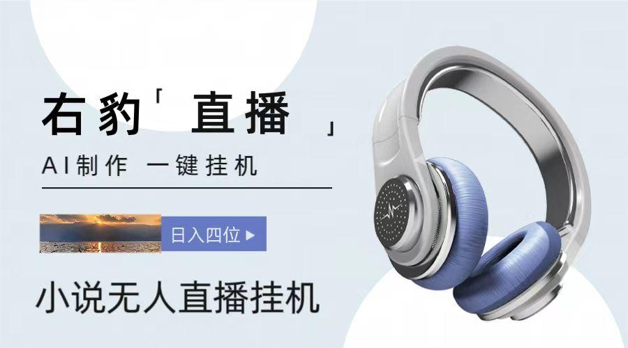 右豹小说无人直播挂机吸金项目,简单易行收益稳定, 月入1000+-青禾学社