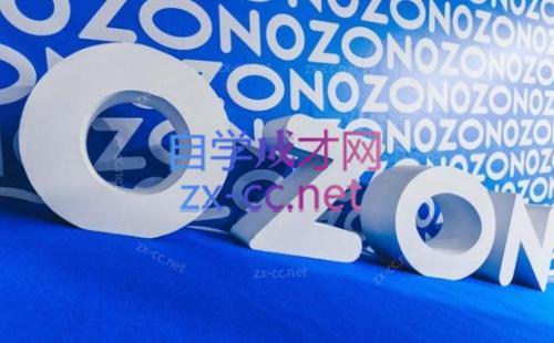 森哥·出海俄罗斯电商实操(2024)-青禾学社