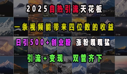 2025自热引流天花板,一条视频能带来四位数的收益,引流+变现双管齐下,日引500+创业粉,涨粉嘎嘎猛-青禾学社