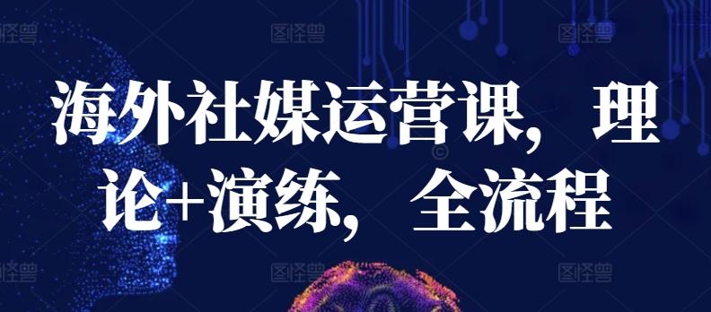 海外社媒运营课,理论+演练,全流程-青禾学社