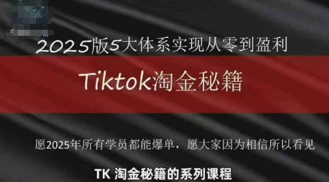 TikTok跨境2025淘金秘籍,2025TikTok从0到盈利变现-青禾学社