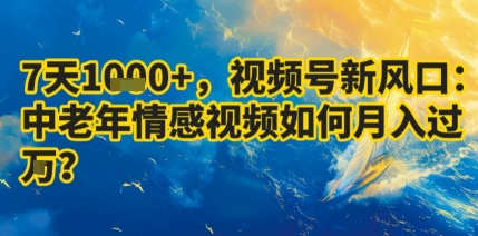 7天收益1k+,视频号新风口:中老年情感视频如何月入过W?-青禾学社