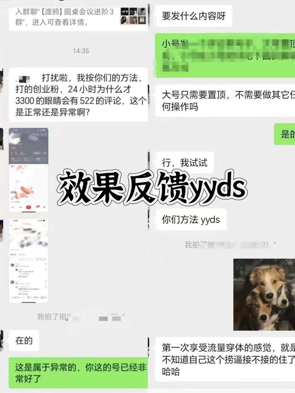 图片[3]-抖音小红书视频号全平台引流打法，全自动引流日引2000+精准客户-青禾学社