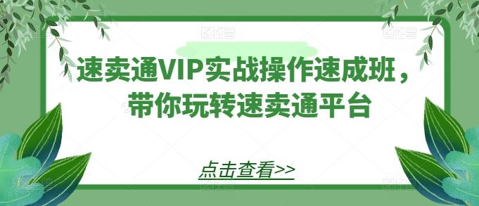 速卖通VIP实战操作速成班,带你玩转速卖通平台-青禾学社