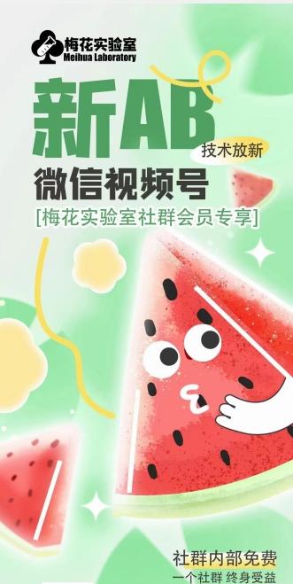 梅花实验室2024年AB技术视频号AB合成破解版-青禾学社
