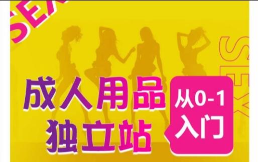 成人用品独立站从0-1入门,成品独立站运营全流程教学,七大好卖成品独立站推荐-青禾学社