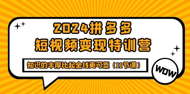 (9817期)2024拼多多短视频变现特训营,知识的丰厚比起金钱更可靠(11节课)-青禾学社