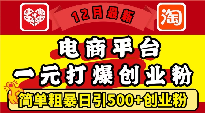12月最新：电商平台1元打爆创业粉，简单粗暴日引500+精准创业粉，轻松月入过W【揭秘】-青禾学社