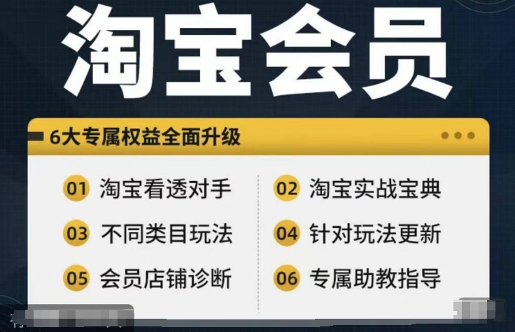 淘宝会员【淘宝所有课程，全面分析对手】，初级到高手全系实战宝典-青禾学社