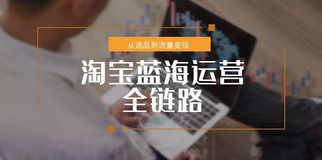 淘宝蓝海运营全链路,从选品到流量变现,小类目突围完整方案-青禾学社