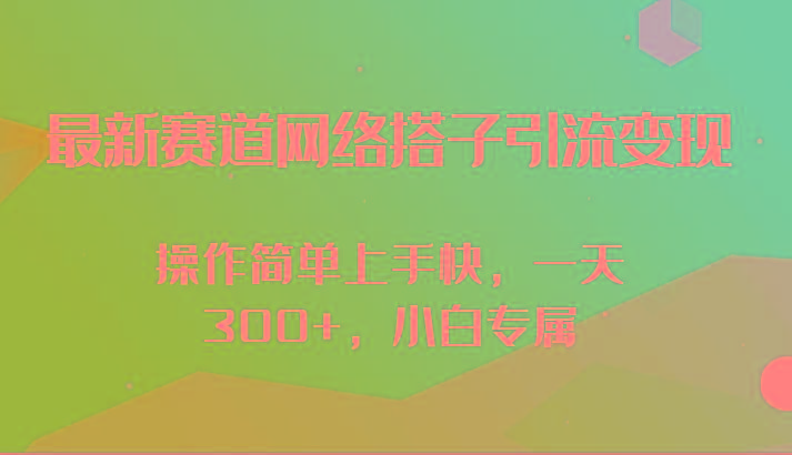 最新赛道网络搭子引流变现!!操作简单上手快，一天300+，小白专属-青禾学社