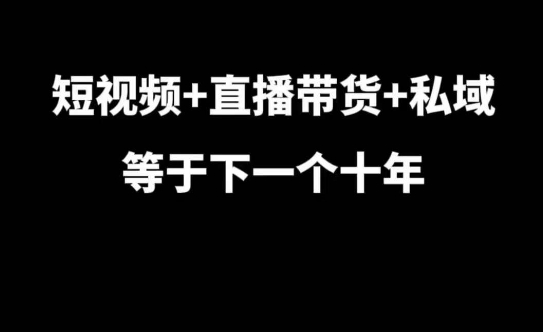 短视频+直播带货+私域等于下一个十年，大佬7年实战经验总结-青禾学社