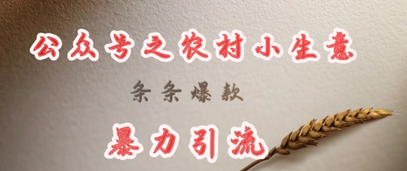 deepseek写农村小项目，条条爆款，暴力引流-青禾学社