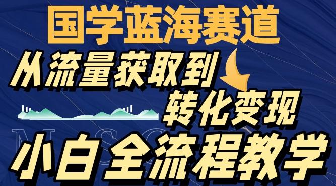 国学蓝海赛道，从流量获取，到转化变现，全流程教学-青禾学社