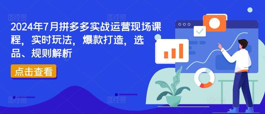 2024年7月拼多多实战运营现场课程,实时玩法,爆款打造,选品、规则解析-青禾学社