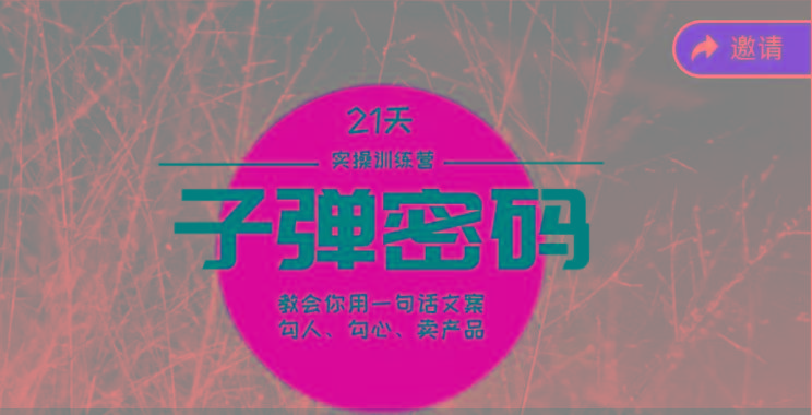 《子弹密码训练营》-用一句话文案勾人勾心卖产品,21天学到顶尖文案大师策略和技巧-青禾学社