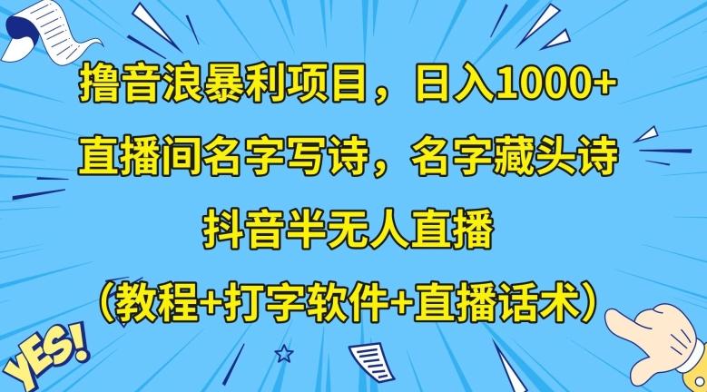 撸音浪暴利项目,日入1000+,直播间名字写诗,名字藏头诗,抖音半无人直播(教程+打字软件+直播话术)【揭秘】-青禾学社