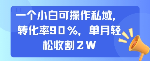 一个小白可操作私域,转化率90%,单月轻松收割2W-青禾学社