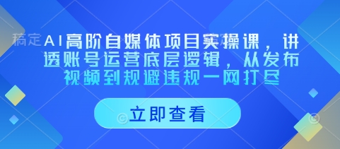 AI高阶自媒体项目实操课，讲透账号运营底层逻辑，从发布视频到规避违规一网打尽-青禾学社